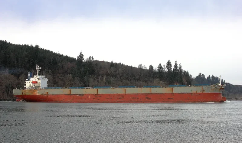 IVESTOS II Bulk Carrier IMO 9284855 photo 9