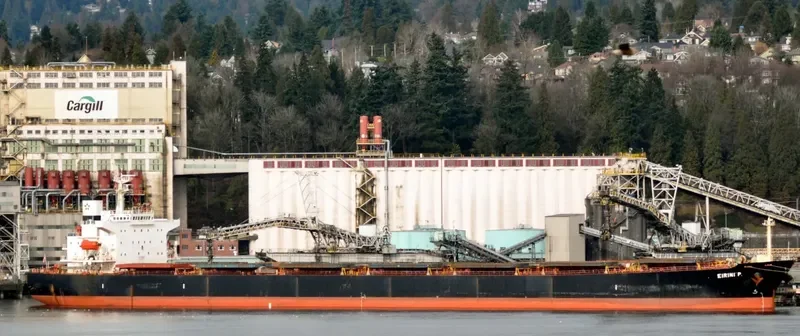 EIRINI P Bulk Carrier IMO 9284879 photo 5