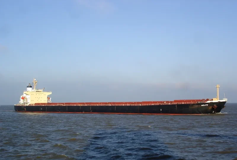 PRINCESS KATHERINE Bulk Carrier IMO 9284881 photo 2