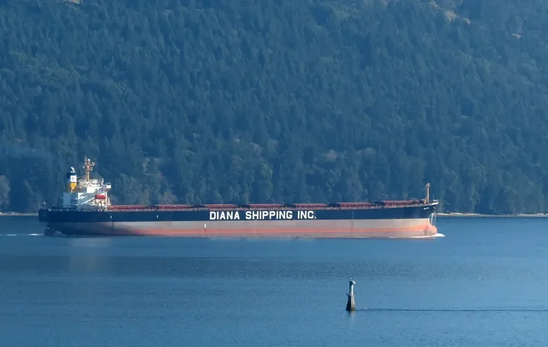 PRINCESS KATHERINE Bulk Carrier IMO 9284881 photo 7