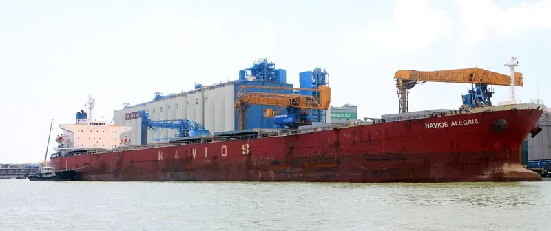 NAVIOS ALEGRIA Bulk Carrier IMO 9284893
