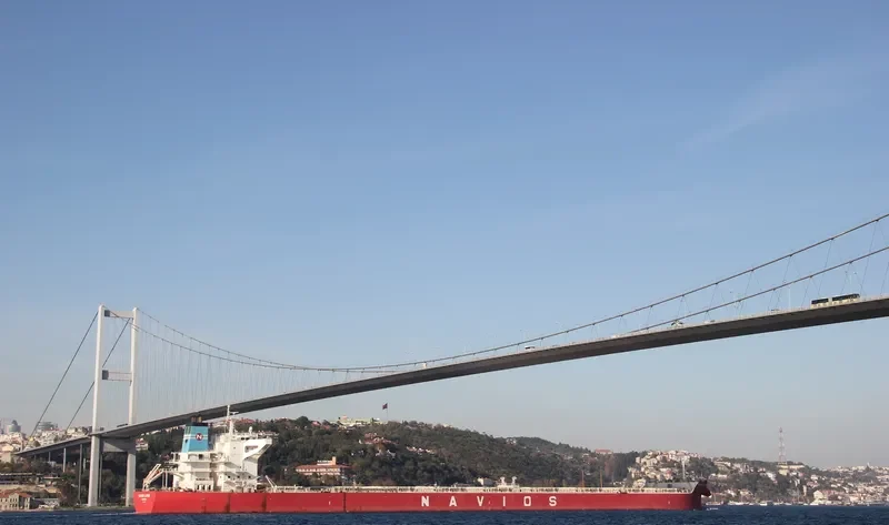 NAVIOS ALEGRIA Bulk Carrier IMO 9284893 photo 5