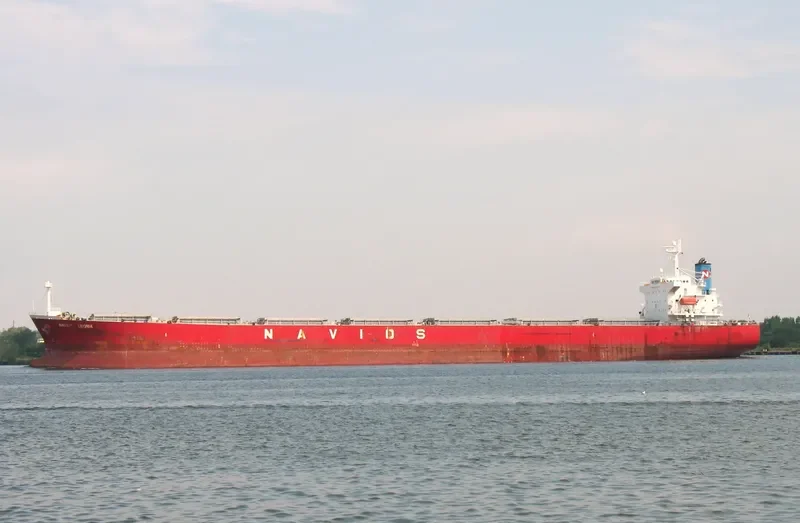 NAVIOS ALEGRIA Bulk Carrier IMO 9284893 photo 7