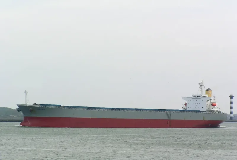 NAVIOS ALEGRIA Bulk Carrier IMO 9284893 photo 8