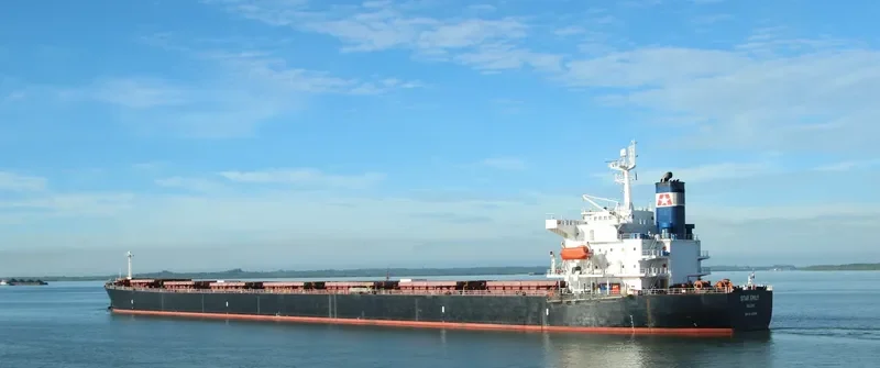 STAR EMILY Bulk Carrier IMO 9284908 photo 2
