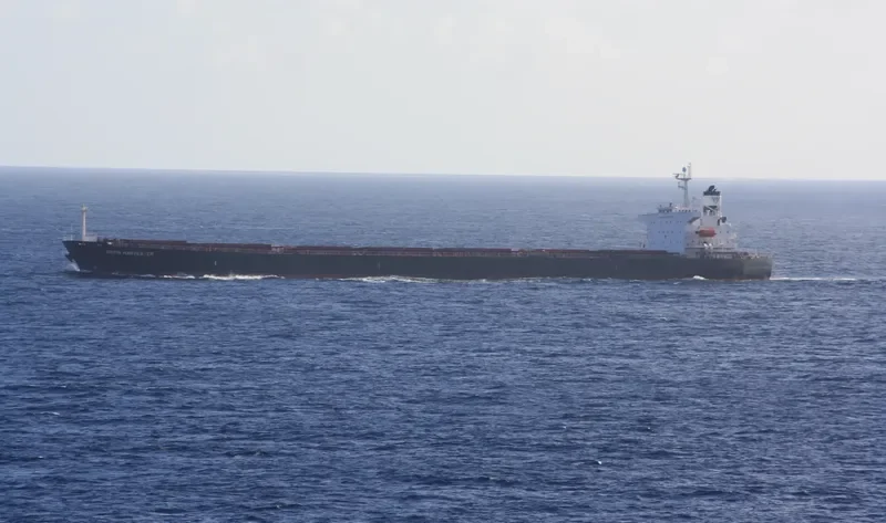 STAR EMILY Bulk Carrier IMO 9284908 photo 8