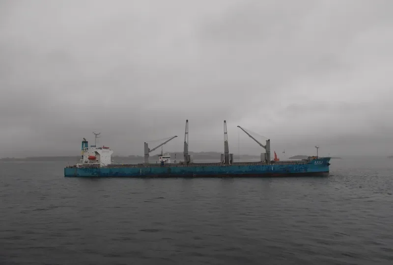 NEW LIULINHAI Bulk Carrier IMO 9285108 photo 3