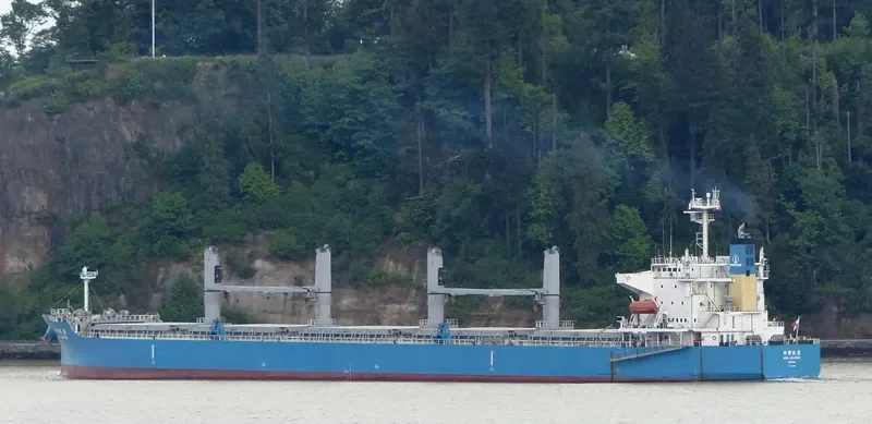 NEW LIULINHAI Bulk Carrier IMO 9285108 photo 5