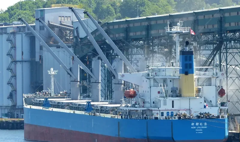 NEW LIULINHAI Bulk Carrier IMO 9285108 photo 7