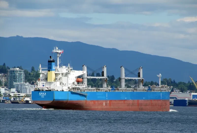NEW LIULINHAI Bulk Carrier IMO 9285108 photo 8