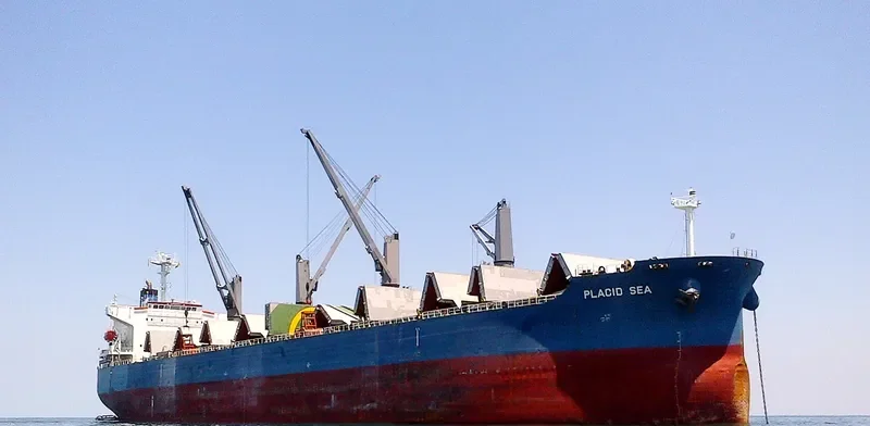 PLACID SEA Bulk Carrier IMO 9285110 photo 2