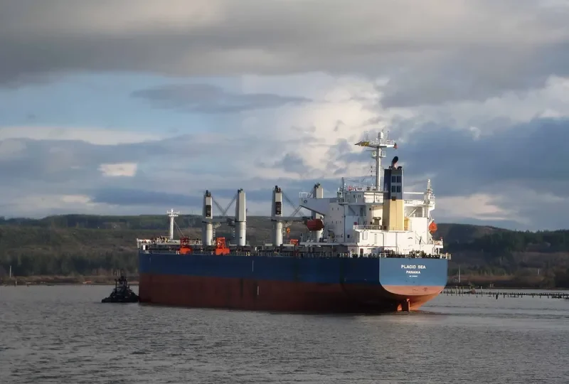 PLACID SEA Bulk Carrier IMO 9285110 photo 7
