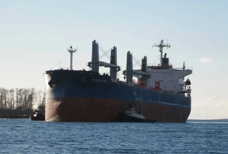 PLACID SEA Bulk Carrier IMO 9285110 photo 9