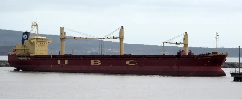 UBC TAMPICO General Cargo IMO 9285354 photo 3