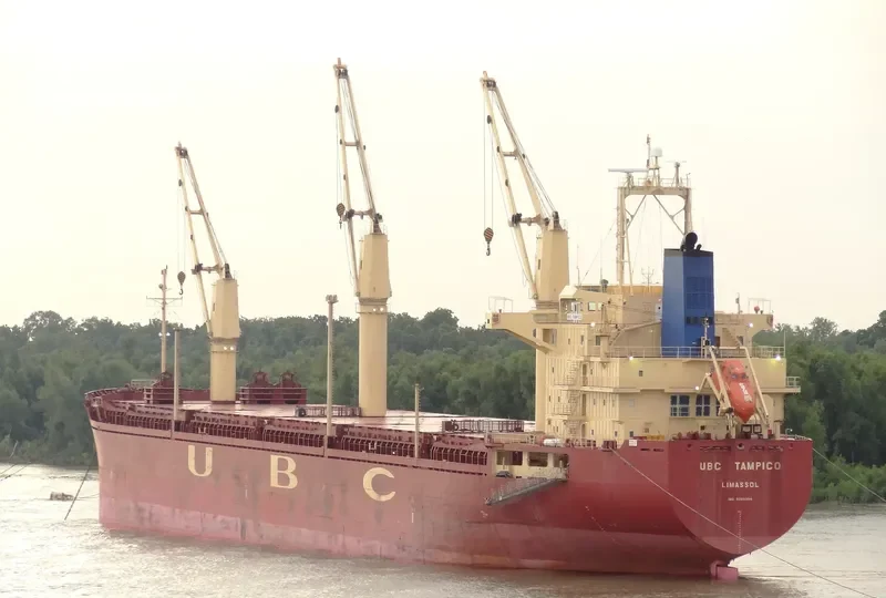 UBC TAMPICO General Cargo IMO 9285354 photo 10