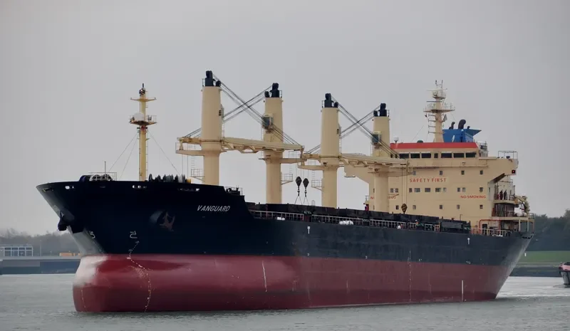 RIZIK BEY Bulk Carrier IMO 9285419 photo 4
