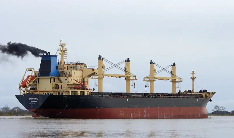 RIZIK BEY Bulk Carrier IMO 9285419 photo 6
