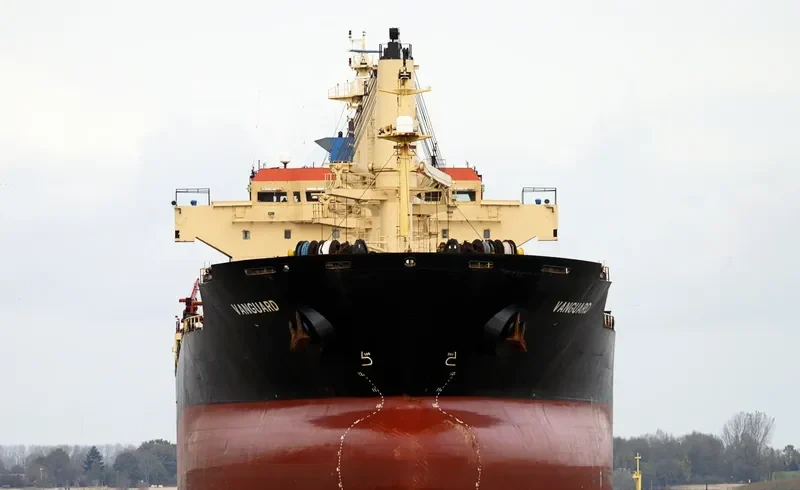 RIZIK BEY Bulk Carrier IMO 9285419 photo 9