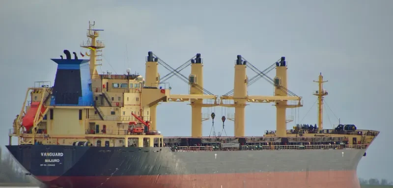 RIZIK BEY Bulk Carrier IMO 9285419 photo 10