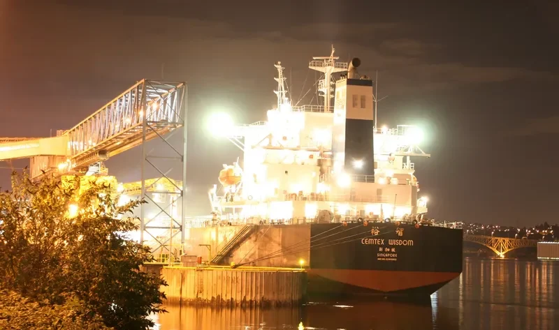 BROAD RICH Bulk Carrier IMO 9285562 photo 2