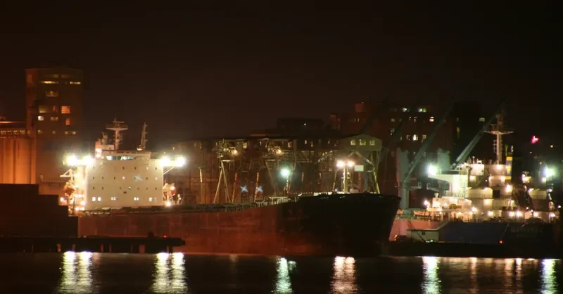 BROAD RICH Bulk Carrier IMO 9285562 photo 4