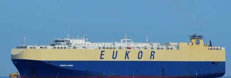 MORNING COURIER General Cargo IMO 9285639 photo 5