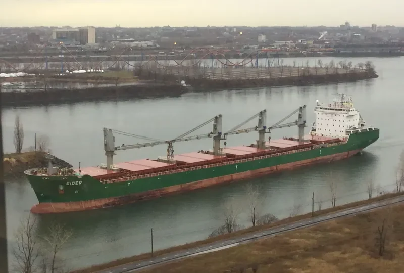 ISABELLE G Bulk Carrier IMO 9285938 photo 7