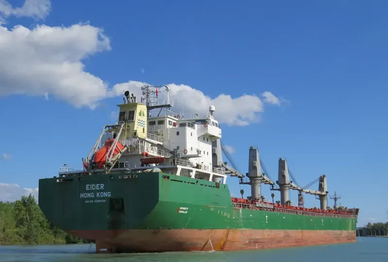 ISABELLE G Bulk Carrier IMO 9285938 photo 8