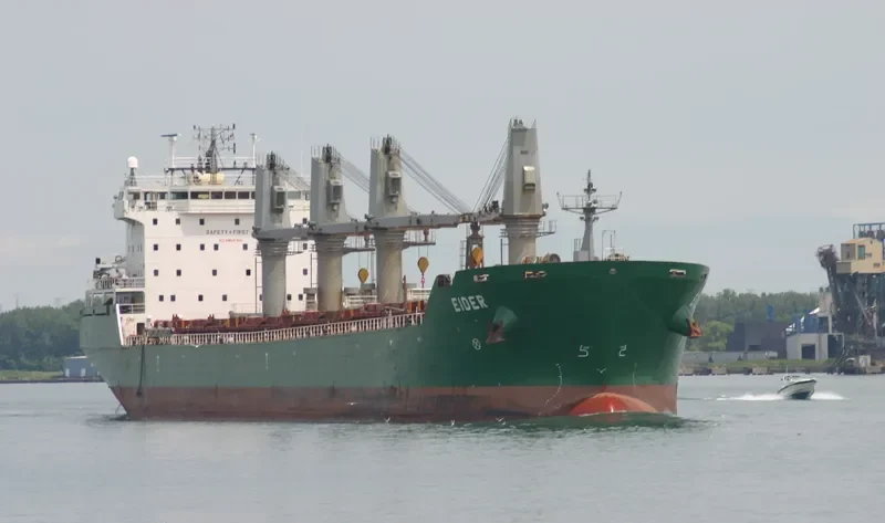 ISABELLE G Bulk Carrier IMO 9285938 photo 10