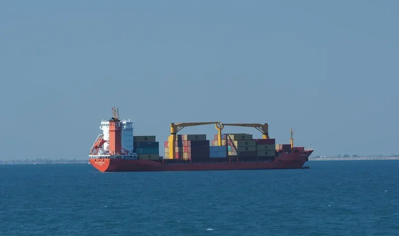 MSC HOGGAR Container Ship IMO 9286449