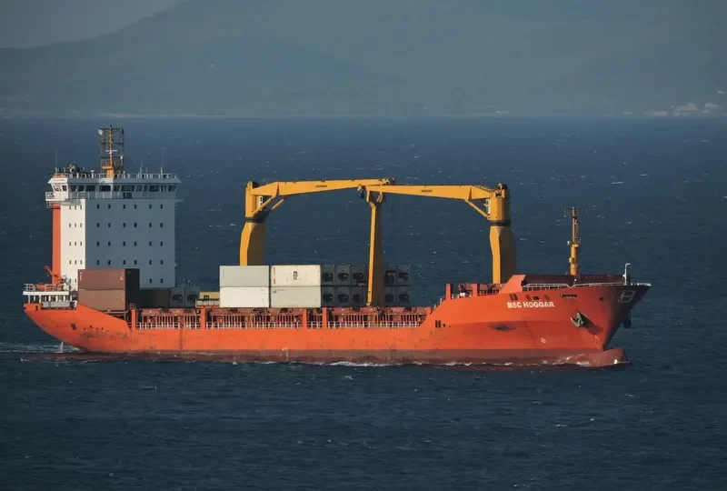 MSC HOGGAR Container Ship IMO 9286449 photo 2