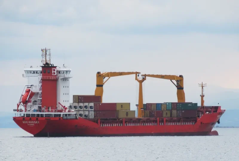 MSC HOGGAR Container Ship IMO 9286449 photo 5