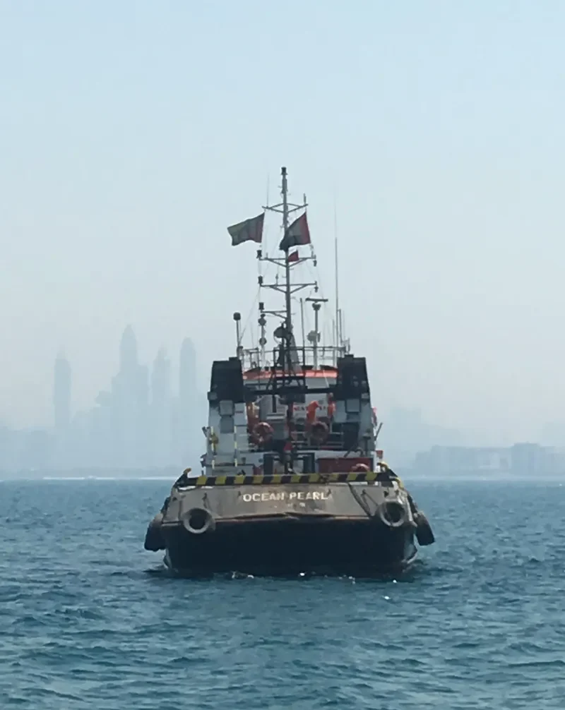 OCEAN PEARL General Cargo IMO 9286516