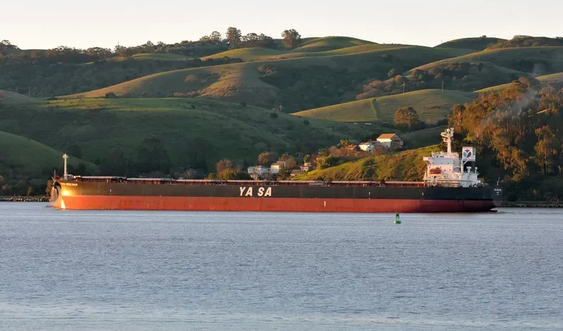 YASA NESLIHAN Bulk Carrier IMO 9286566 photo 5
