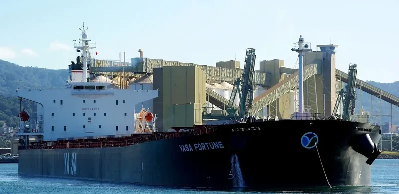 YASA FORTUNE Bulk Carrier IMO 9286580 photo 3