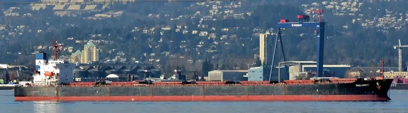 THALASSINI Bulk Carrier IMO 9286592