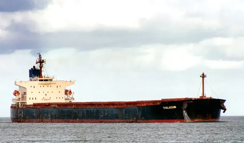 THALASSINI Bulk Carrier IMO 9286592 photo 5
