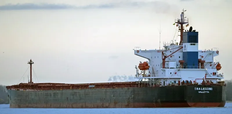 THALASSINI Bulk Carrier IMO 9286592 photo 6