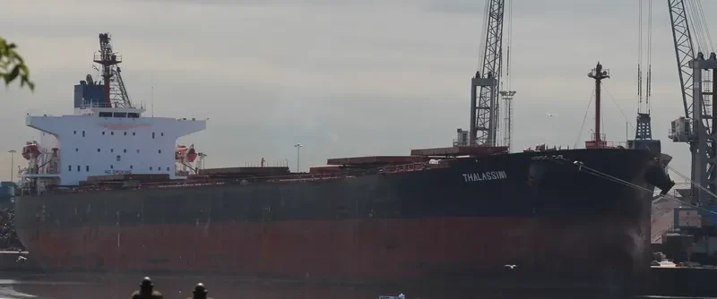 THALASSINI Bulk Carrier IMO 9286592 photo 8