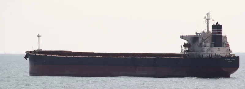 THALASSINI Bulk Carrier IMO 9286592 photo 9