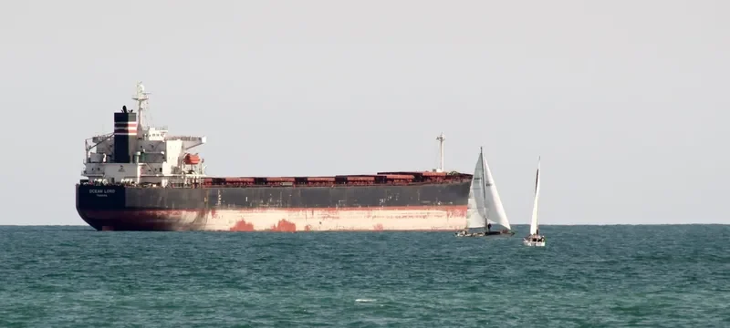 THALASSINI Bulk Carrier IMO 9286592 photo 10