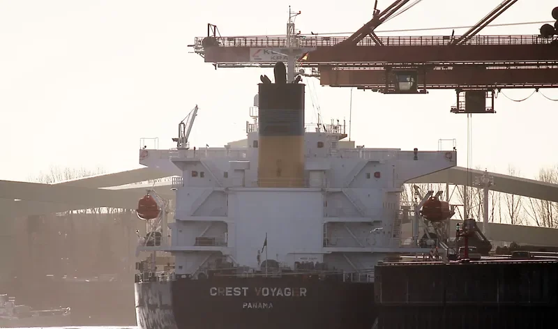 OCEAN DOMINA Bulk Carrier IMO 9286619 photo 4