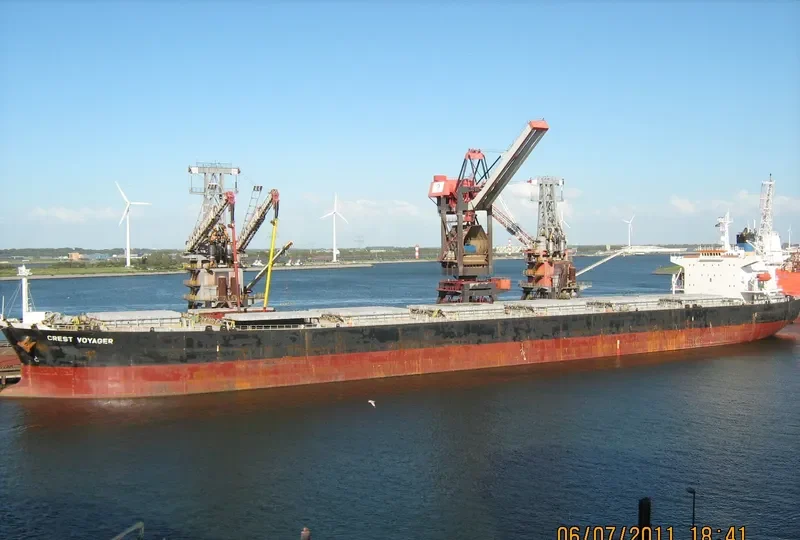 OCEAN DOMINA Bulk Carrier IMO 9286619 photo 5