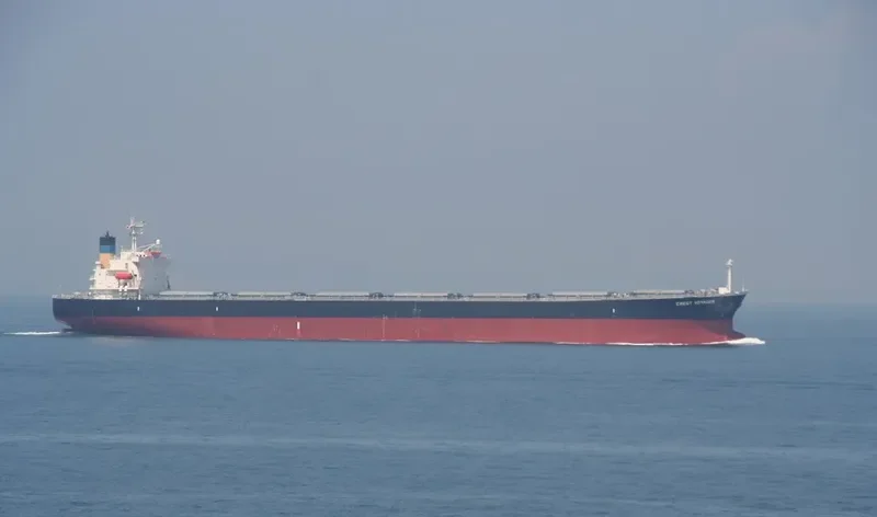 OCEAN DOMINA Bulk Carrier IMO 9286619 photo 6