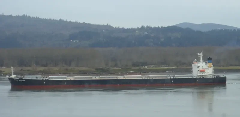OCEAN DOMINA Bulk Carrier IMO 9286619 photo 8
