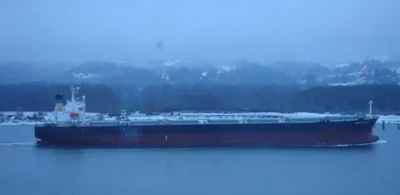 OCEAN DOMINA Bulk Carrier IMO 9286619 photo 9