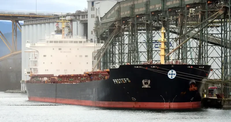 PROTEFS Bulk Carrier IMO 9286633 photo 3