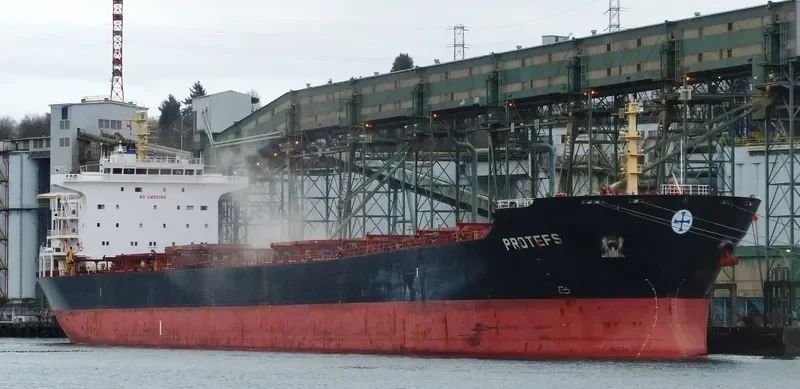 PROTEFS Bulk Carrier IMO 9286633 photo 4