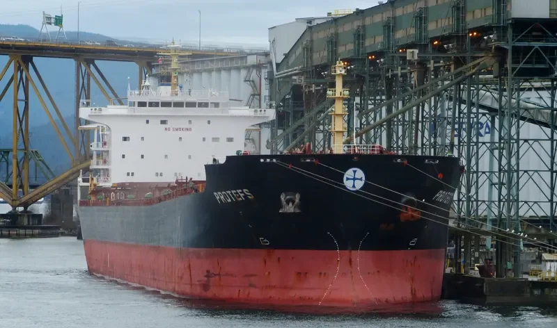 PROTEFS Bulk Carrier IMO 9286633 photo 5
