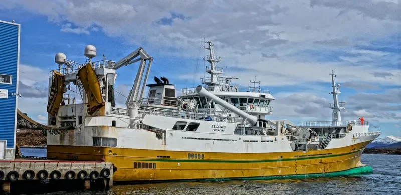 TEIGENES General Cargo IMO 9286841 photo 10